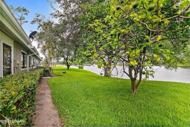 view of yard featuring a water view