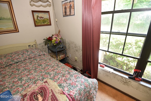 view of carpeted bedroom