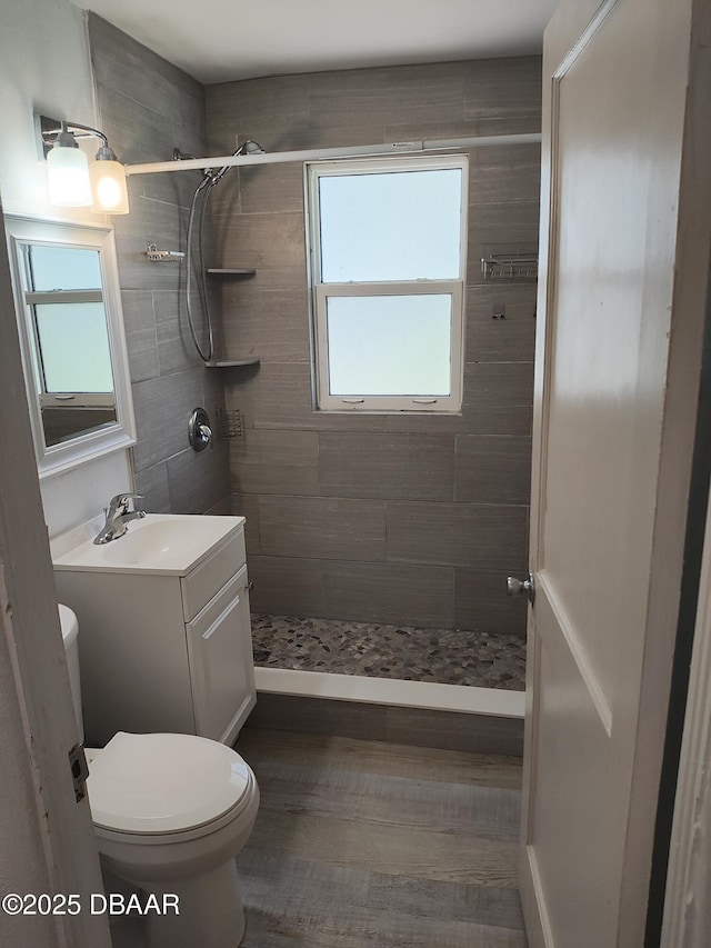 bathroom featuring vanity, a shower stall, and toilet