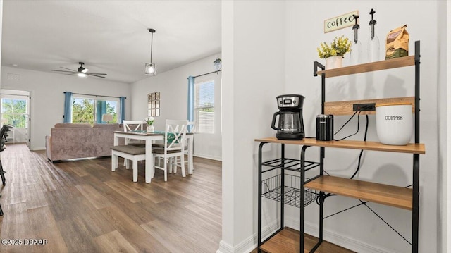 dining room with ceiling fan, baseboards, plenty of natural light, and wood finished floors