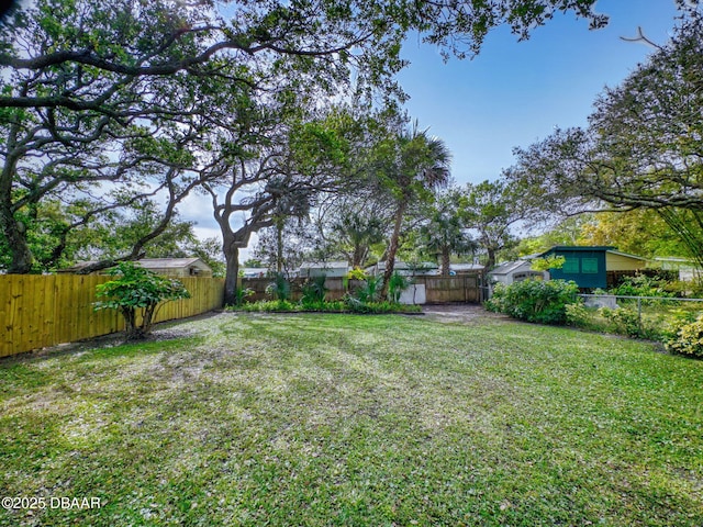 823 E 10th Ave, New Smyrna Beach, FL 32169 - view of fenced backyard