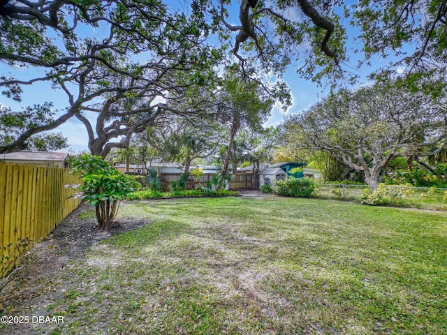 823 E 10th Ave, New Smyrna Beach, FL 32169 - view of fenced backyard