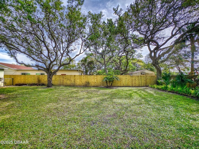 823 E 10th Ave, New Smyrna Beach, FL 32169 - view of fenced backyard