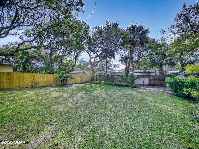 823 E 10th Ave, New Smyrna Beach, FL 32169 - view of fenced backyard