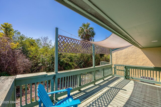 113 Club House Blvd, New Smyrna Beach, FL 32168 - view of wooden terrace
