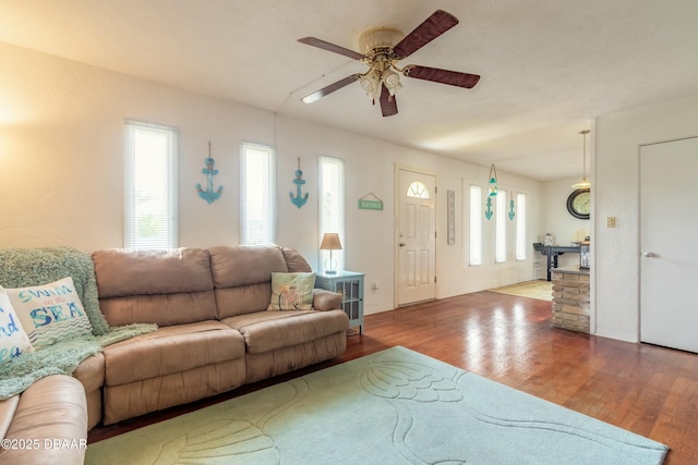 living room with ceiling fan and hardwood / wood-style flooring