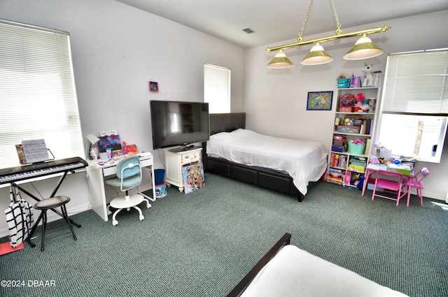 bedroom featuring carpet and multiple windows