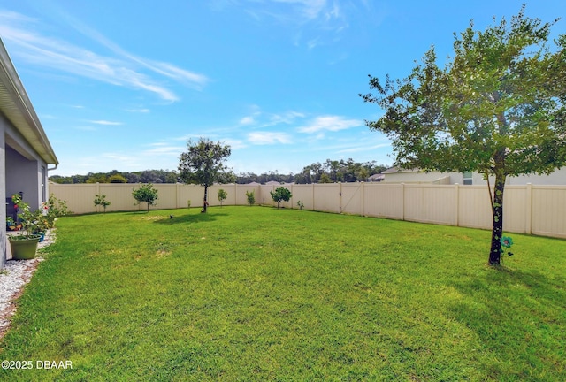 316 Nowell Loop, Deland, FL 32724 - view of yard