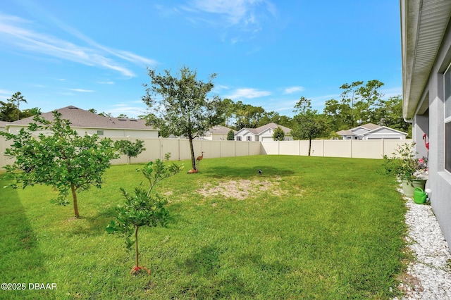 316 Nowell Loop, Deland, FL 32724 - view of yard