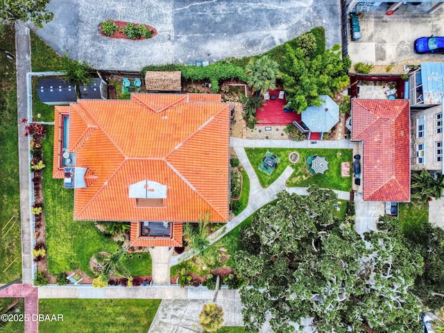 544 S Palmetto Ave, Daytona Beach, FL 32114 - photo 135