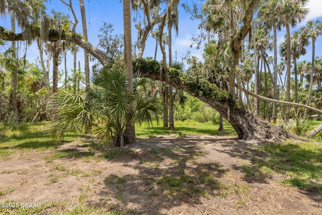1335 Lambert Ave, Flagler Beach, FL 32136 - photo 67