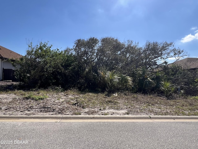 17 Mar Azul N, Ponce Inlet FL, 32127 land for sale