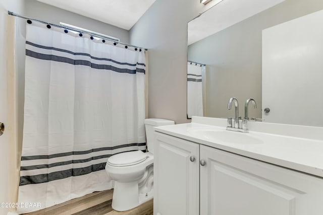 bathroom with toilet, vanity, and wood finished floors