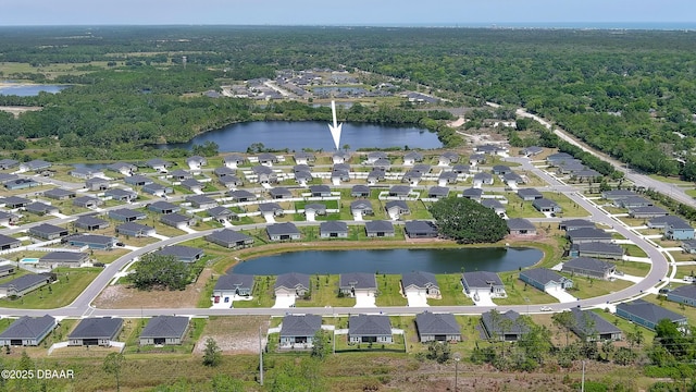 4119 Clifden Dr, Ormond Beach, FL 32174 - aerial overview of property's location featuring a nearby body of water, a forest, and nearby suburban area