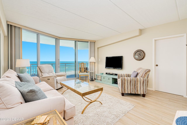 living room featuring expansive windows and light hardwood / wood-style floors