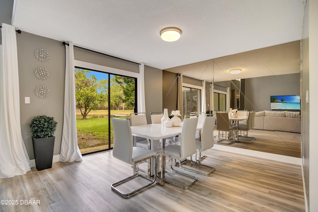 dining room with light hardwood / wood-style floors