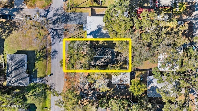 825 Magnolia Ave, Holly Hill, FL 32117 - photo 24