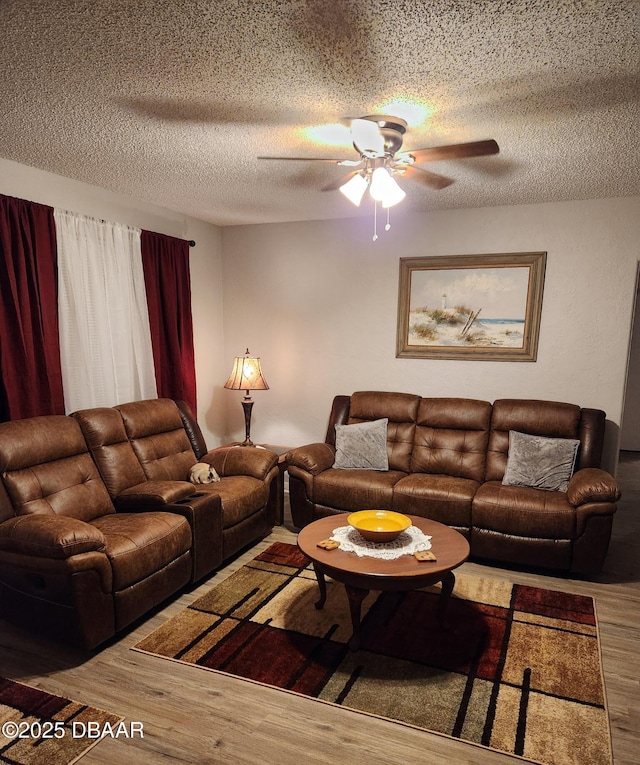 844 Essex Rd, Daytona Beach, FL 32117 - photo 10