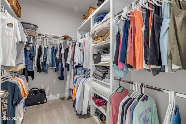 walk in closet featuring light colored carpet