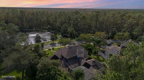 drone / aerial view with a water view and a view of trees