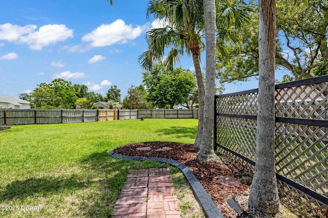 1001 Grassy Rdg, Port Orange, FL 32127 - view of yard