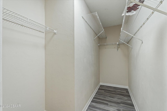 walk in closet featuring dark wood-type flooring