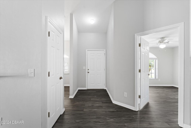 hallway featuring dark wood-type flooring