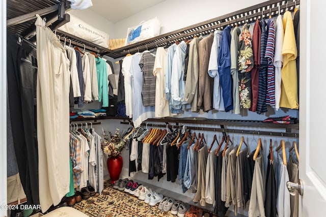 view of spacious closet