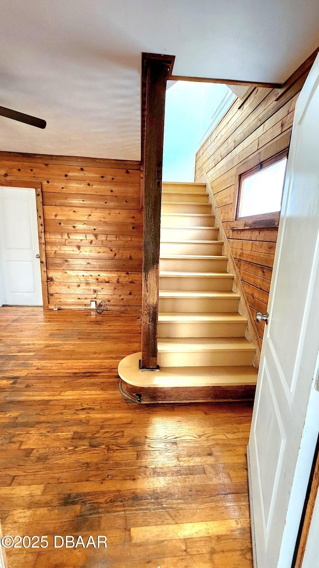 524 W St, Daytona Beach, FL 32114 - stairway featuring wooden walls and wood-type flooring