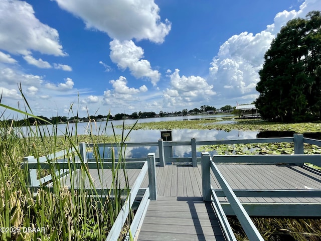 3565 E Lake Dr, Land Olakes, FL 34639 - dock area with a water view