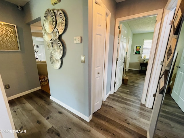 3565 E Lake Dr, Land Olakes, FL 34639 - hall featuring wood finished floors and baseboards