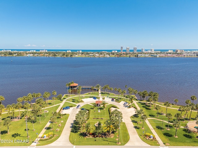 bird's eye view with a water view