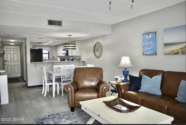 living room featuring wood-type flooring and a textured ceiling