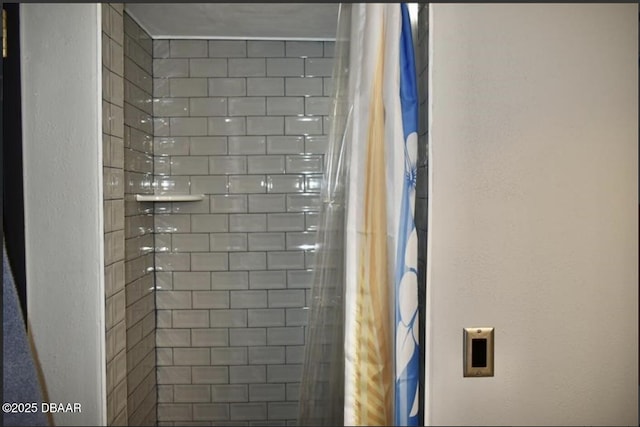 interior details with a shower with shower curtain