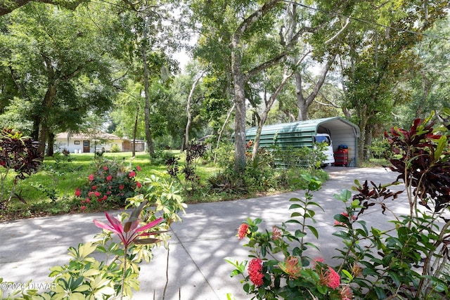 view of patio / terrace with a carport