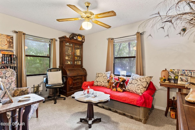 535 S Prospect St, Crescent City, FL 32112 - photo 15