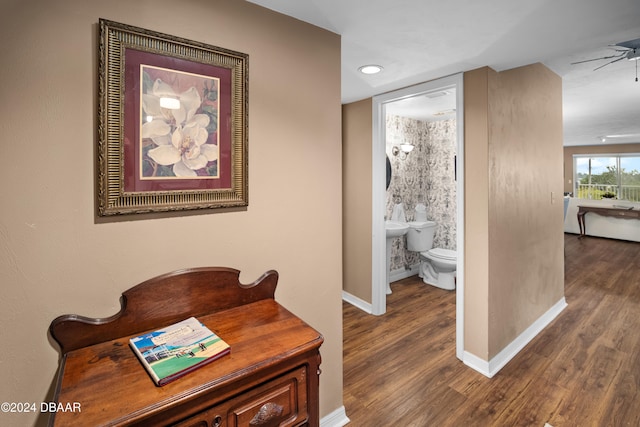 hall featuring dark hardwood / wood-style flooring