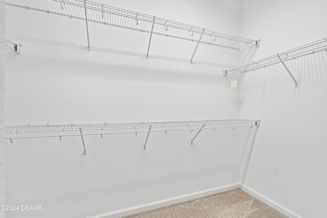 walk in closet with light colored carpet