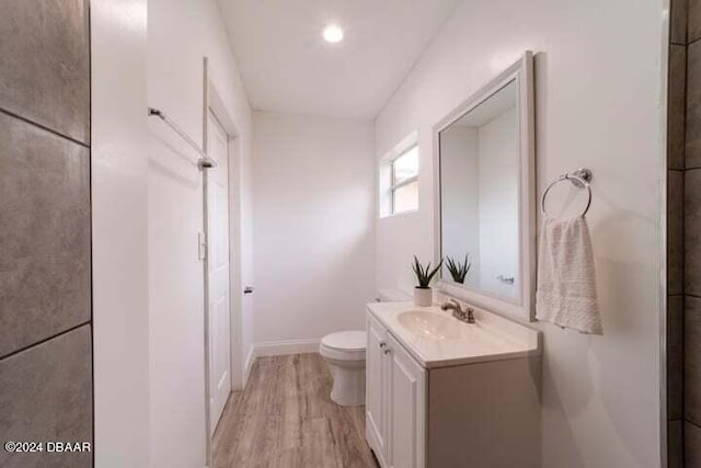 bathroom featuring toilet, vanity, and wood-type flooring