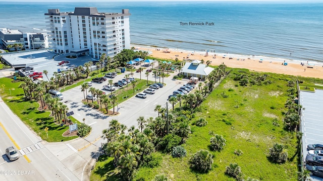52 Palm Dr, Ormond Beach, FL 32176 - bird's eye view of extended coastline