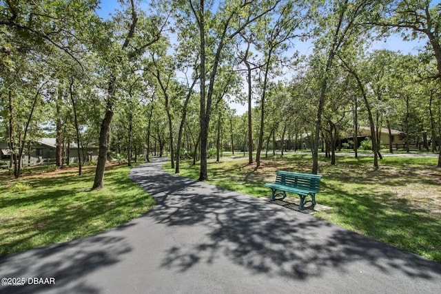 36 Summer Trees Rd, Port Orange, FL 32128 - view of community featuring a lawn