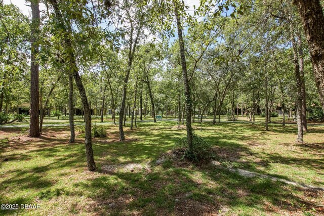 36 Summer Trees Rd, Port Orange, FL 32128 - view of grassy yard