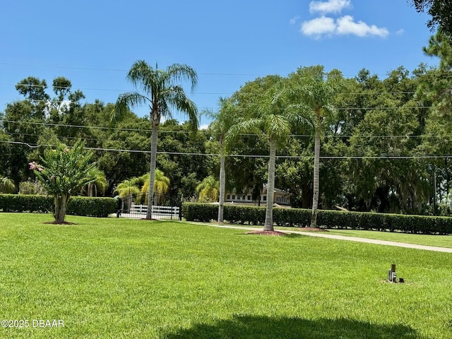 37328 County Road 44a, Eustis, FL 32736 - photo 78