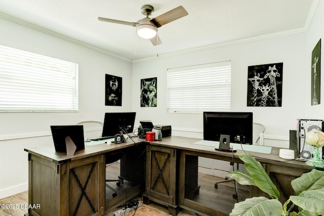 2917 Carriage Dr, South Daytona, FL 32119 - office space with a ceiling fan, ornamental molding, and light wood finished floors