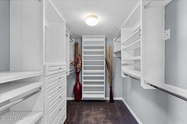 walk in closet with dark colored carpet