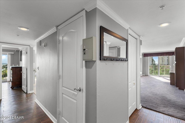 hall with ornamental molding, a wealth of natural light, and dark wood-type flooring