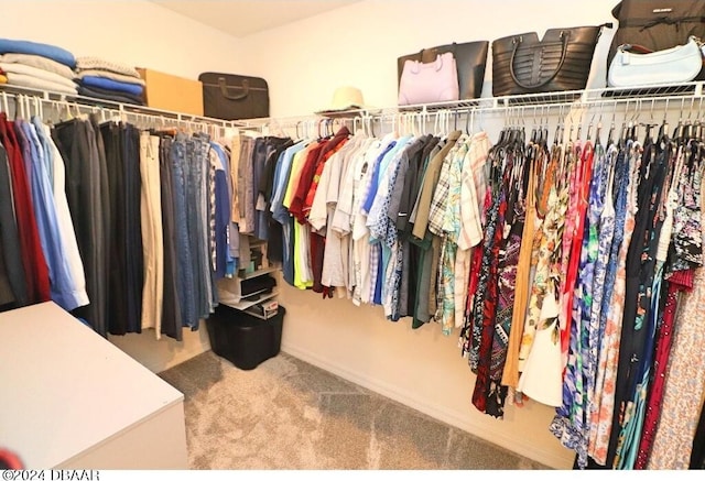 spacious closet with carpet flooring