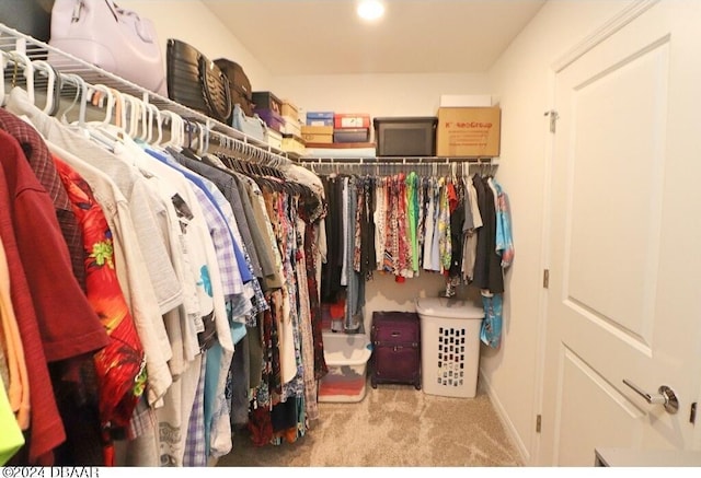 spacious closet with light carpet