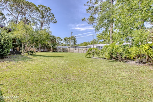 2530 Nordman Ave, New Smyrna Beach, FL 32168 - view of yard