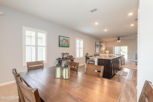 dining space featuring a wealth of natural light, wood-type flooring, and ceiling fan